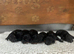 Lovely Daxie poo available to be viewed