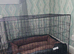 Brand new xl dog cage and bed