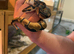 Beautiful enchi pastel baby ball python
