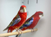 Rosella