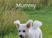 Toy poochon **last girl left**