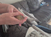 Rehome lepoard geko
