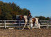 16’3 ID mare bfg