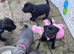 KC reg SBT Chunky Black Girl