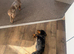 Girl mini dach