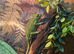 Female Yemen and viv