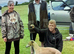 Outstanding breed whippet male for sale