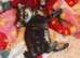 Maine Coon ragdoll cross