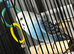 2 male budgies 1 year old £20 each