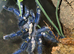 Adult Pair Of P Metallicas