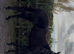 Stunning black mare