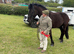 Stunning 15.1 hh Black mare