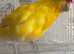 Kakarikie