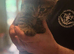 Half maincoon kittens forsale