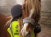 Flashy chestnut Welsh Section C
