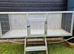 Bird cages forsale limavady