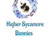 Mini Lop Bunnies