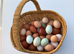 Fertile Hatching Eggs S18 7WT