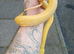Reticulated python phanton lavender