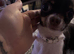 Tiny Chihuahua