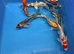 6”-7” koi