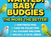 WANTED: ALL BUDGIES — YOUNG & ADULT, ALL TYPES & ALL COLOURS!