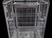 Large Parrots cage