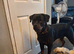 1 year old