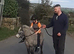 Miniature Spotted mare, reg the BSPSoc.