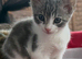 Looking for a forever home