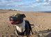 Female for rehome
