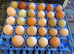 12x Hatching Eggs Mixed Hybrid Coloured Rainbow Chicken