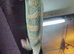 Veiled chameleons