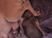 Have one beautiful only little girl available