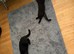 Adorable BSH for sale