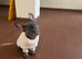 Beautiful Female frenchy