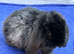 ***ready to leave now**** mini lop boy 8wks old