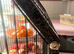 Bird travel cage