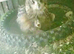 Breeding pair bengals for sale
