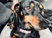3 year old miniature dachshund please read description