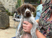 PUPS STILL AVAILABLE AND READY TO GO GWP X WEIMKY PUPPIES