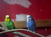 Beautiful breeding pair of budgies