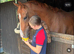 Thoroughbred mare for sale