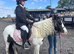 Ruby 12.3h mare