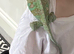 Friendly male chameleon