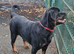 Stunning Female Available