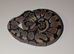 Royal python hatchlings