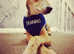 Dog training