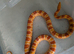 Amel scaled corn snake ( het microscale)