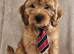 Beautiful boy available